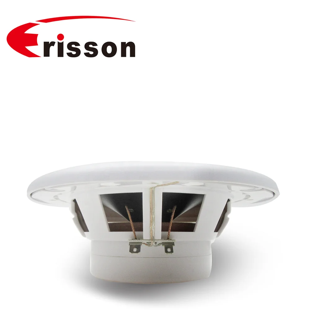 OEM/ODM 6.5' Waterproof marine Speakers For Boat