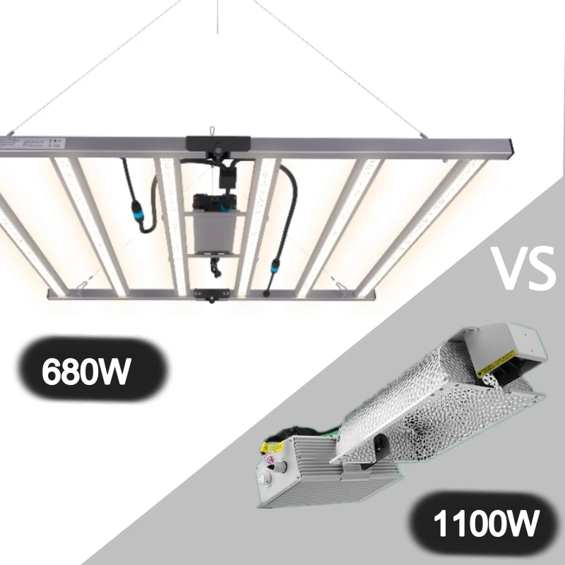 Best Price Competition Updated 660w Vypr Led Grow Light Workable For 208v 204v 380v 480v With Lower Electricity Cost