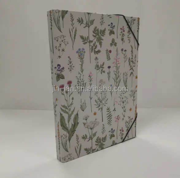 A4 document box with elastic band