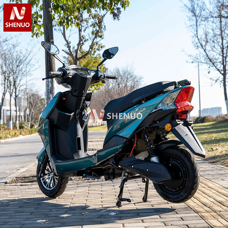 Wolf Warrior Three Generations 48V 1000W Electric Bicycle for Men and Women High-Powered Electric Motorcycles