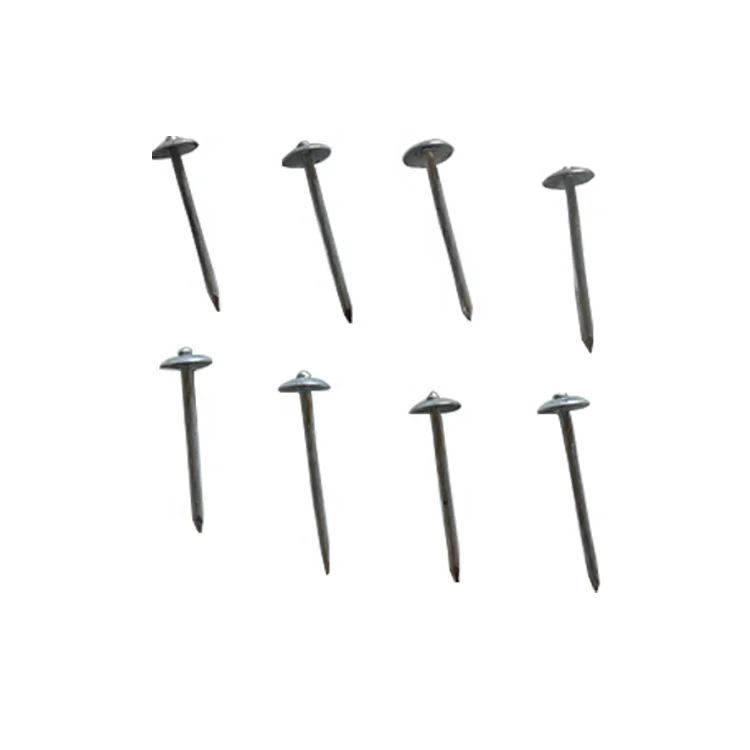 High quality direct factory supply galvanized corrugated sheet nails hot sale twisted shank umbrella head roofing nails
