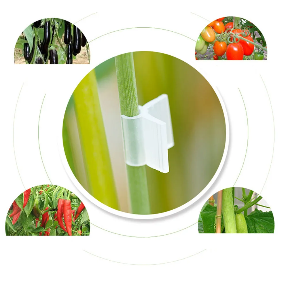 DIHAO Grafting Clips Gardening Fruit Tomato Plant Vine Plastic Seedling Clamp Tool New Grafting Clips 2020 New Arrival
