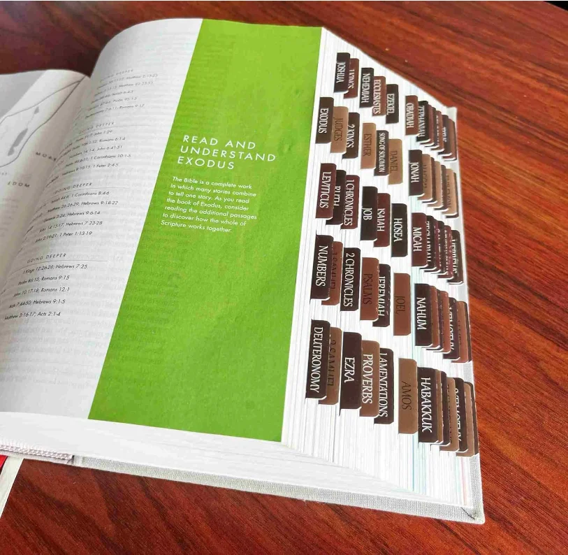 Christian Gift Repositionable Large Printed Bible Book Tabs