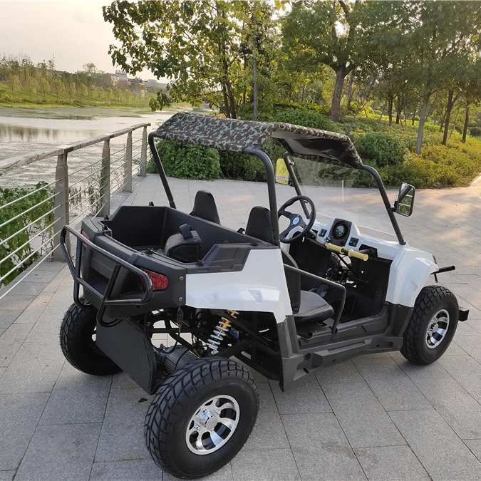 Sport Electric Seats Seater With 4 2 Seat Sand Hot Kids Frame Engines Car Dune 500cc For Buggy Sale