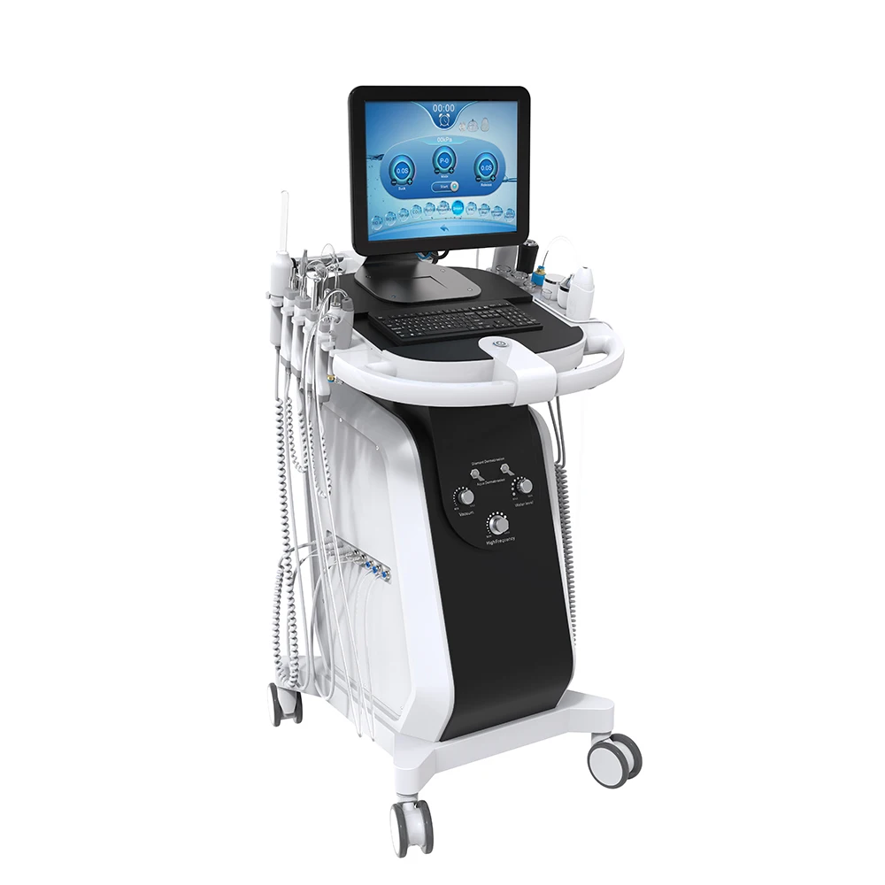 Original manufacturer/14 in 1 / 15 in 1 Microdermabrasion machine skin analyzer machine