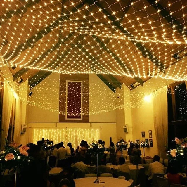LED Net Light Outdoor Wedding Event Decoration