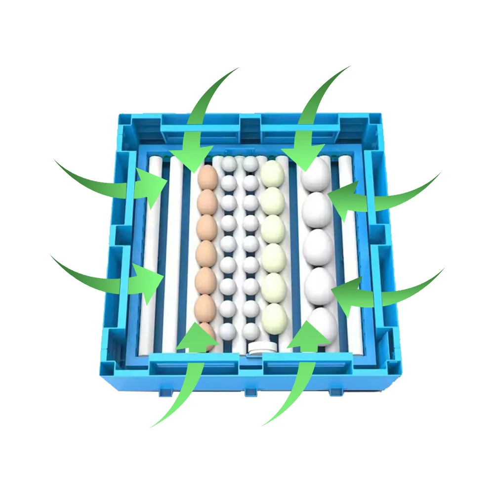 Factory Direct Selling Mini Egg Incubator Chicken Egg Incubation Machine For Hatching