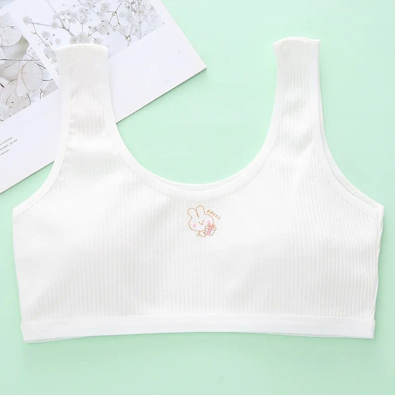 Wholesale Double-sided Cotton Bras Girls In Development Period Wide Shoulder Cotton Bra For Primary School Students