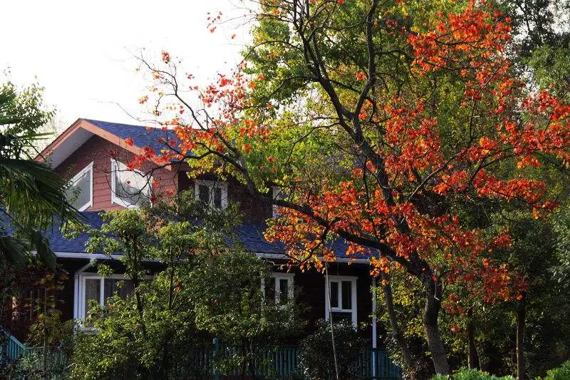 China suppliers luxury prefab villa personal design wooden house fast construction green house for sale movable modular