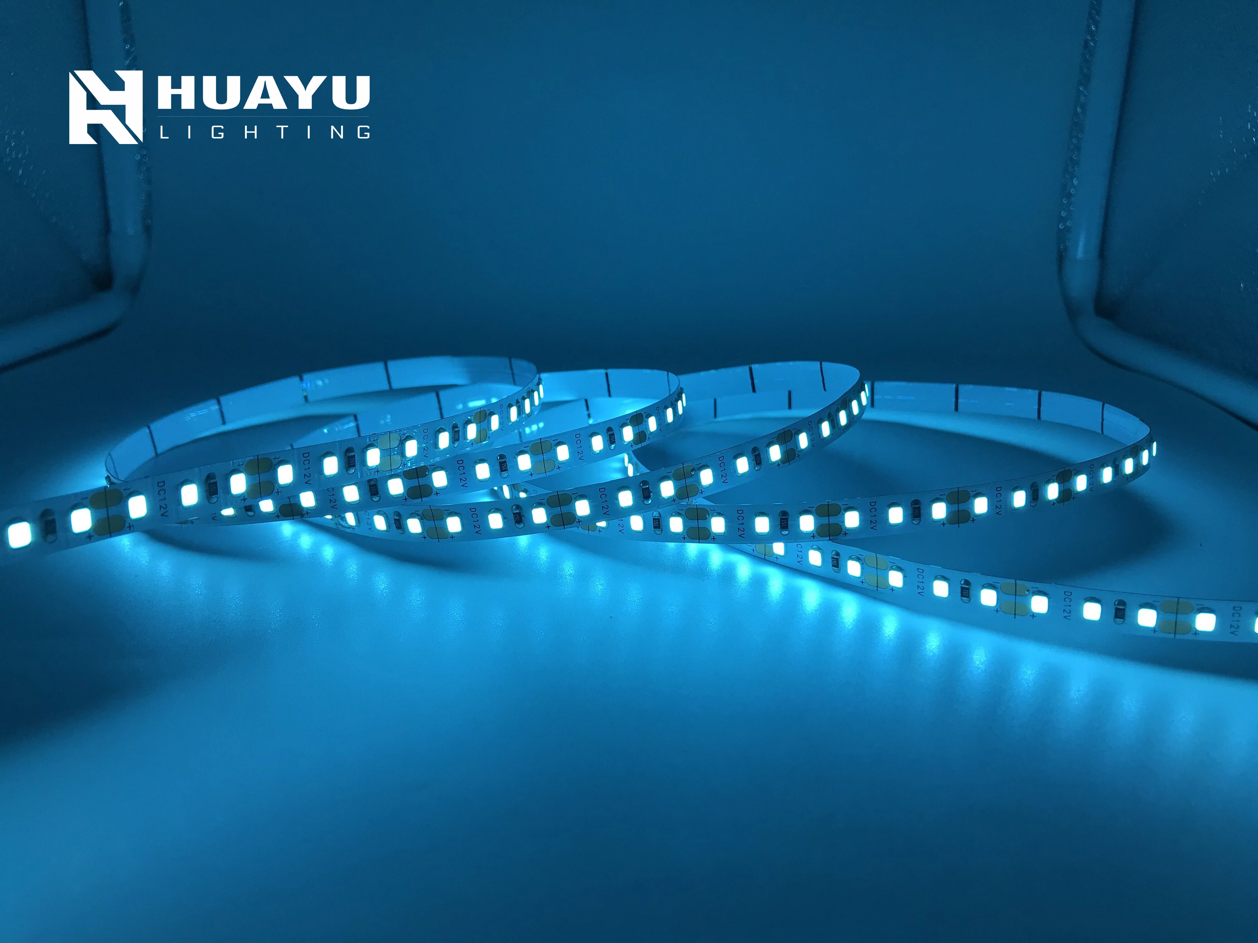 SMD5050 SMD2835 SMD 3528 60leds/m 120leds/m flexible led strip light 12V 24V with sky ice blue color for indoor decoration