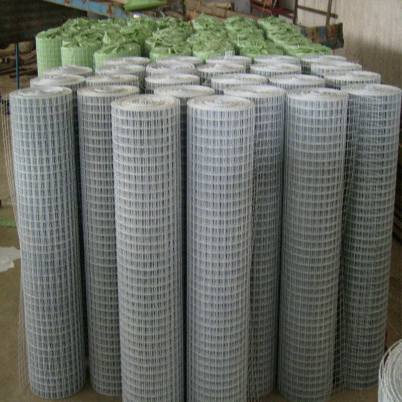 Galvanized stainless steel bird cage wire mesh welded wire mesh