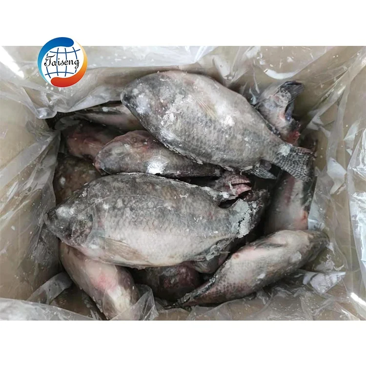 Frozen Fish Tilapia Fish frozen China export Frozen Fish Frozen Black Tilapia
