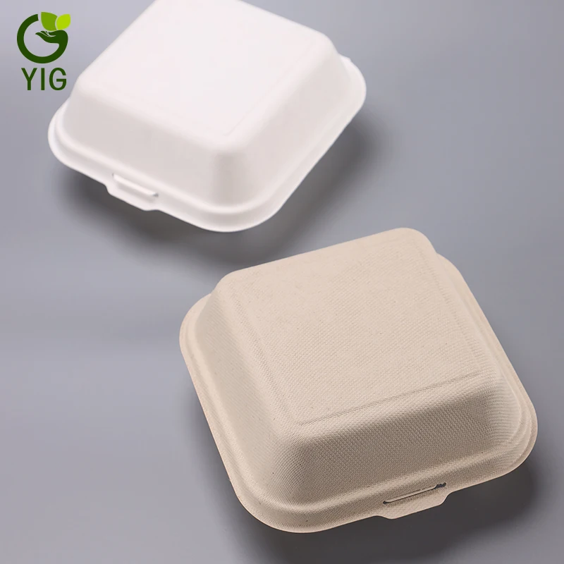 
Compostable Molded Paper Pulp Box Packaging 