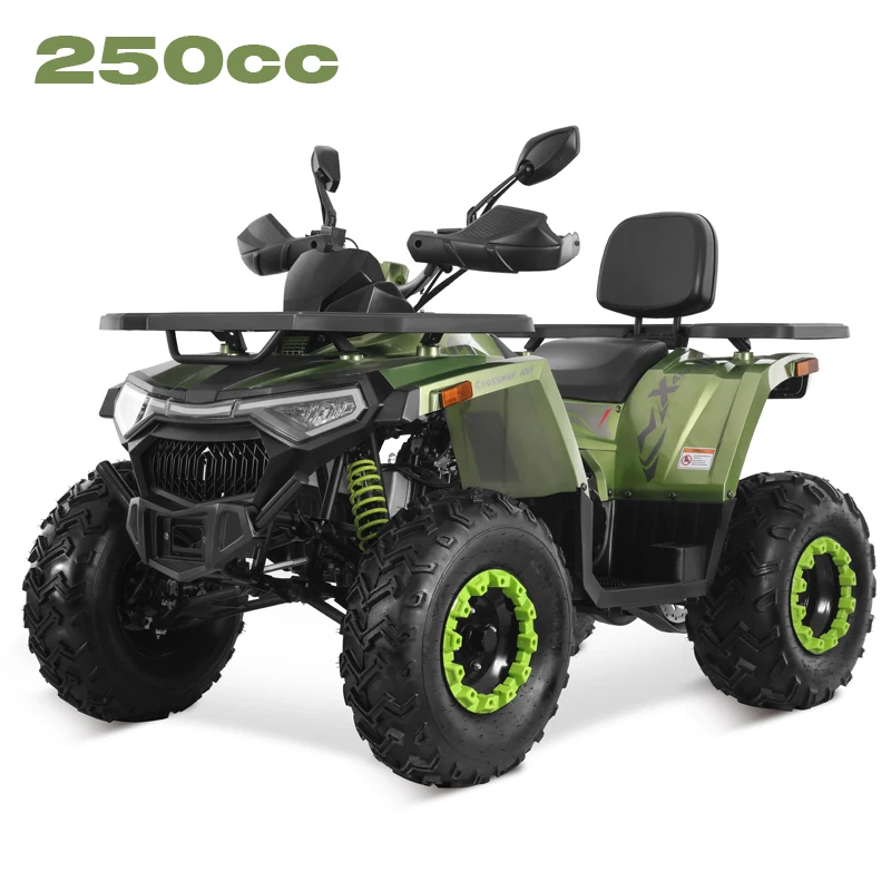 Мотор Tao 2025 новый дизайн цепной привод 4x2 квадроцикл 250cc дешевый китайский оптовая продажа cuatrymoto ATV