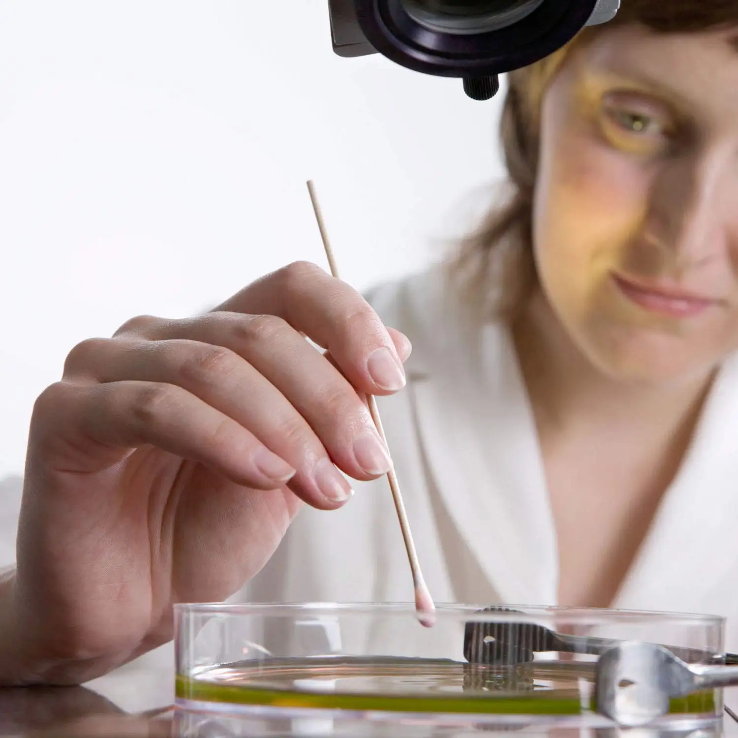 Cheap Hot Selling Oem Cotton Buds Cleaning Wooden Stick Cotton Swabs Customized Packaging