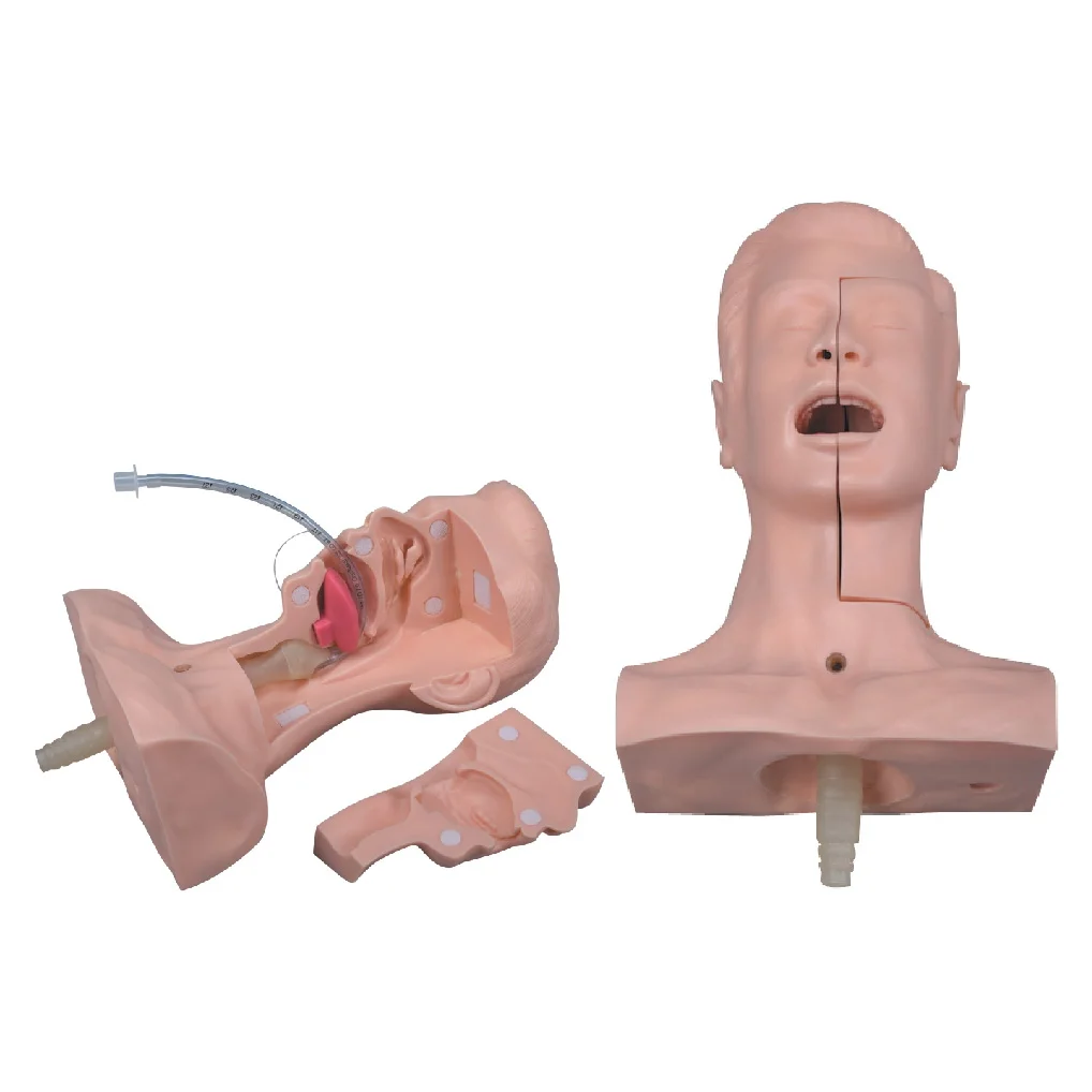 Adult Tracheotomy Care and Suction Nursing Manikin Tracheostomy Simulator