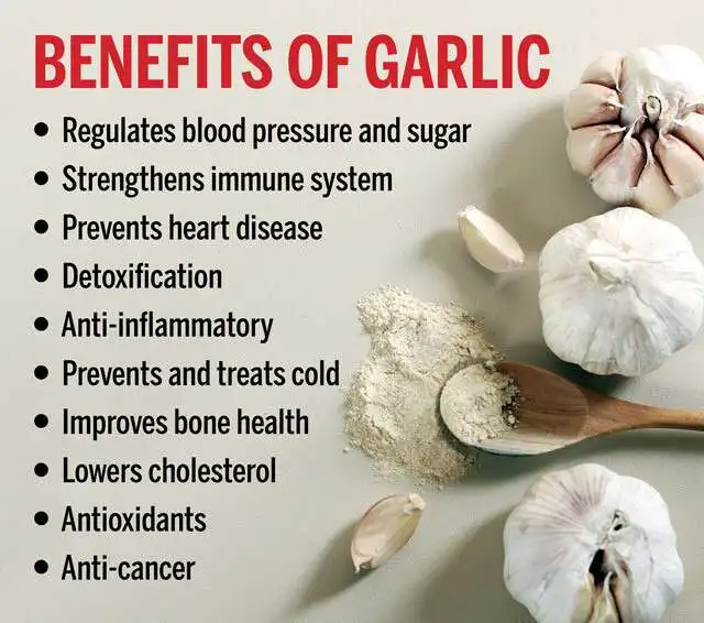 Organic Certificate Factory direct vegetable powder/Garlic Powder