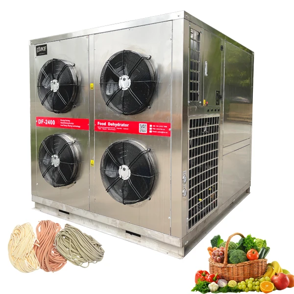 DF-2400GW pasta dryer machine can dry vegetables fruits noodles and meat in large quantities