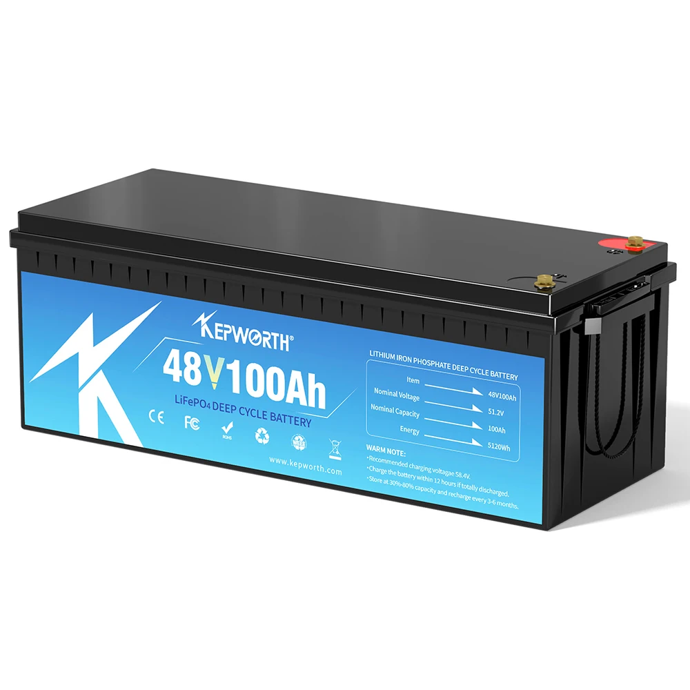 Wholesale EU stock Lifepo4 48V 100Ah 200Ah lithium ion Battery Pack 51.2 V 5KWh 10KWh Energy Storage with BMS for RV golf carts