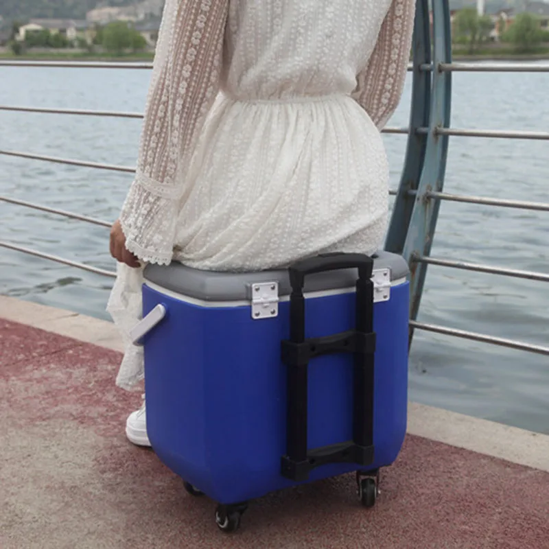 28L Factory price wholesale fish medical insulated cooler boxe