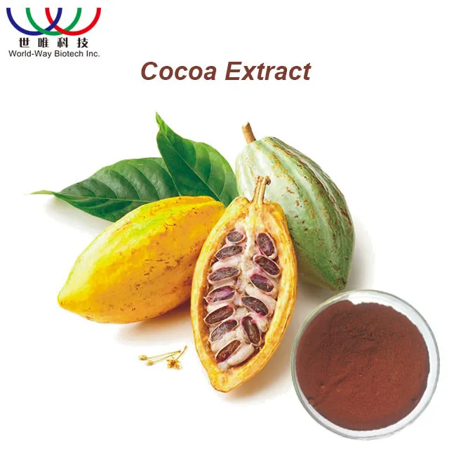 Top Grade Food Grade Pure Cocoa Seed Extract in Drum Packaging Pharmaceutical Active Herbal Ingredients Solvent Extraction