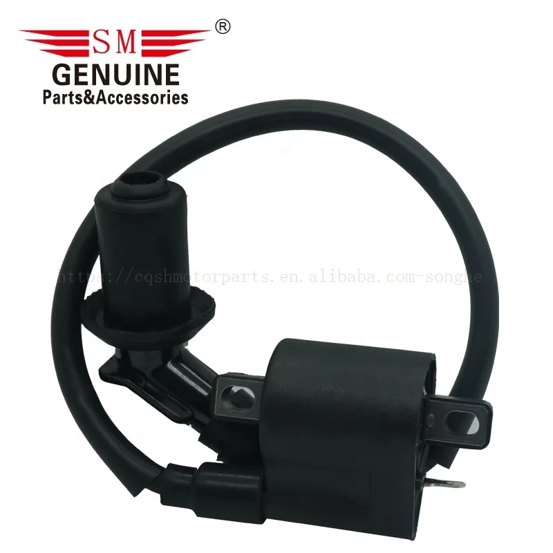 RTS Motorcycle ATV spare parts and accessories systems ATV150 ATV180 150CC 180CC 150 180 motorcycle ignition coils