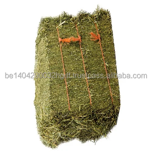High Quality Grade Alfalfa Hay / Alfalfa Pellets / Timothy hey For Sale
