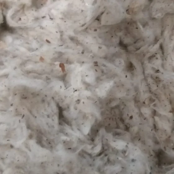 
LYCRINE COTTON WASTE 
