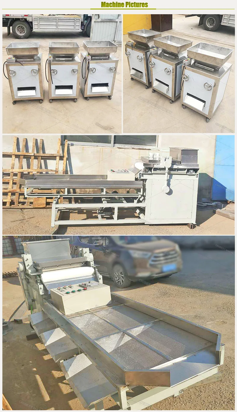 almonds machine (4).jpg