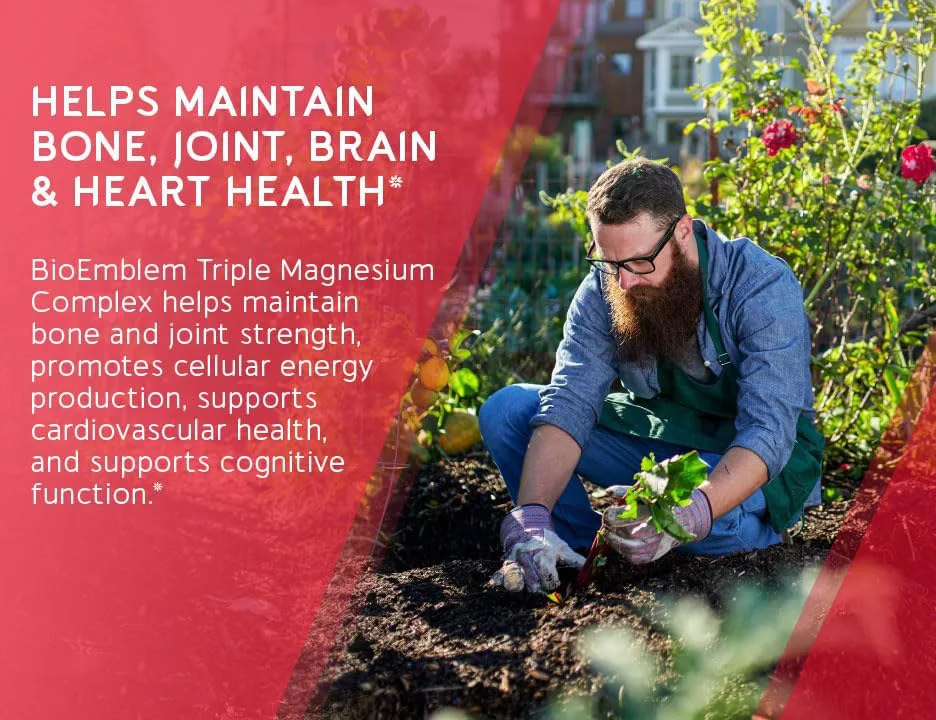 WELLBODY OEM/ODM magnesium complex capsules supplement Vitamins Citrate Threonate Vegan 500mg Magnesium Capsules