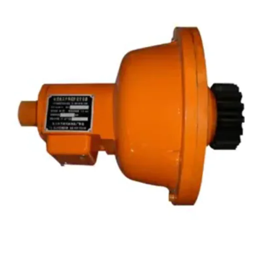 Passenger Hoist Safety Device
