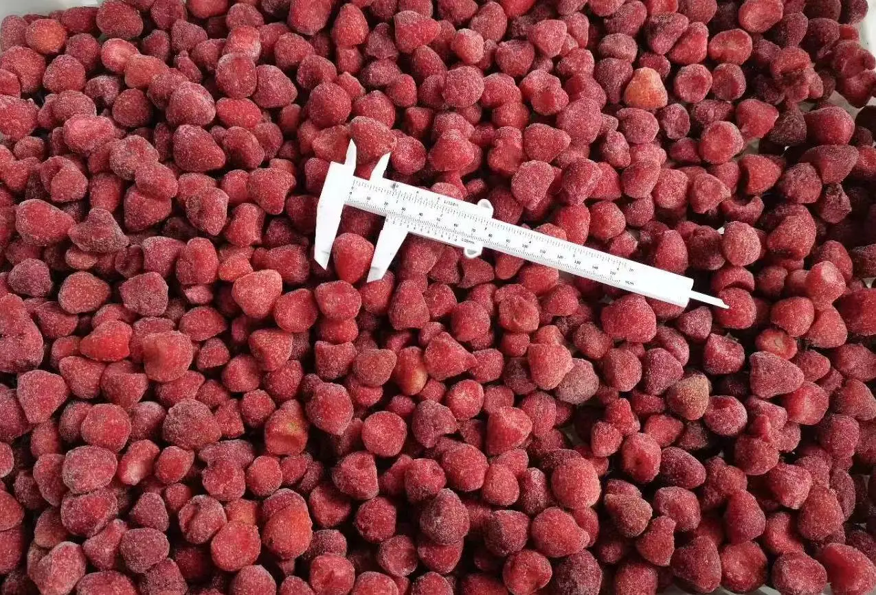 Wholesale IQF Freshly Chosen Frozen Strawberries in Bulk Sliced and Water Preserved in Carton Packaging for Convenience