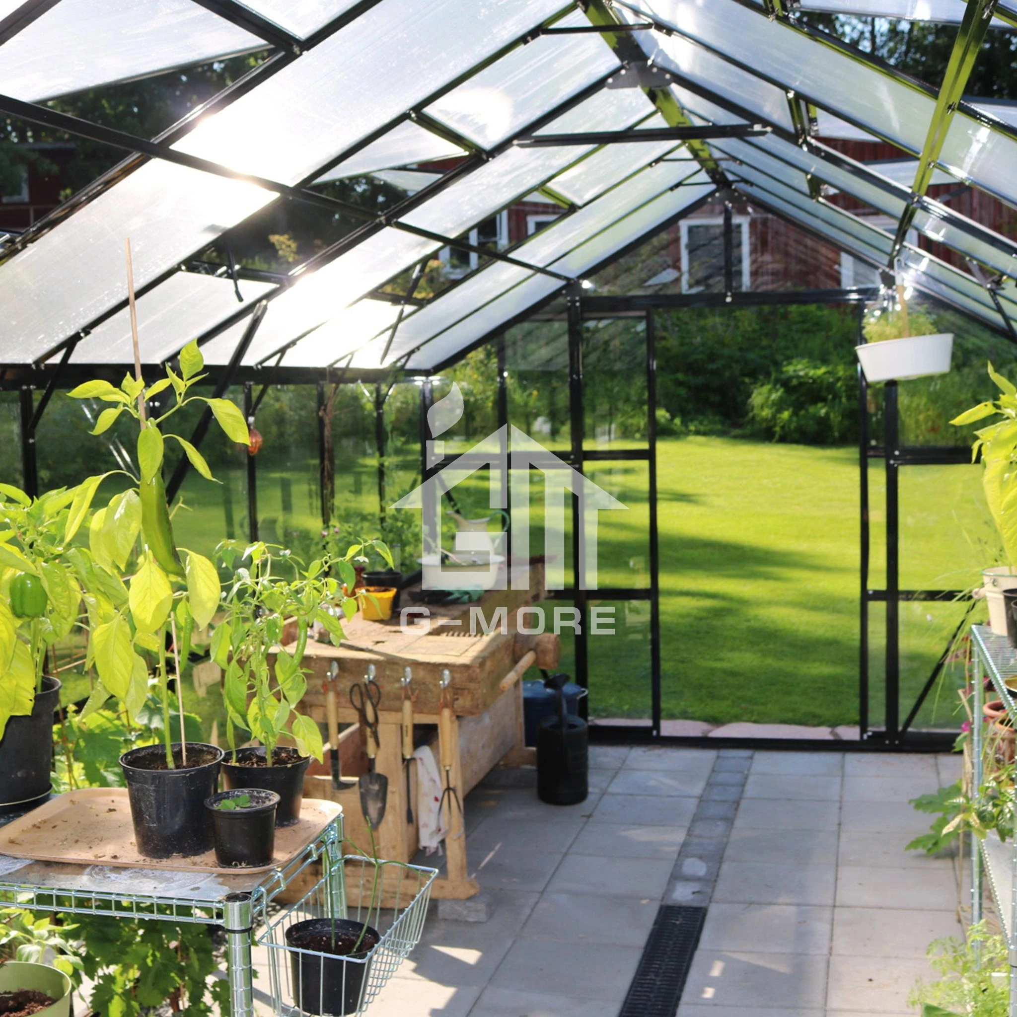 G-More Elegant Classic 8 FT x 24 FT Aluminium Garden Greenhouse Glasshouse
