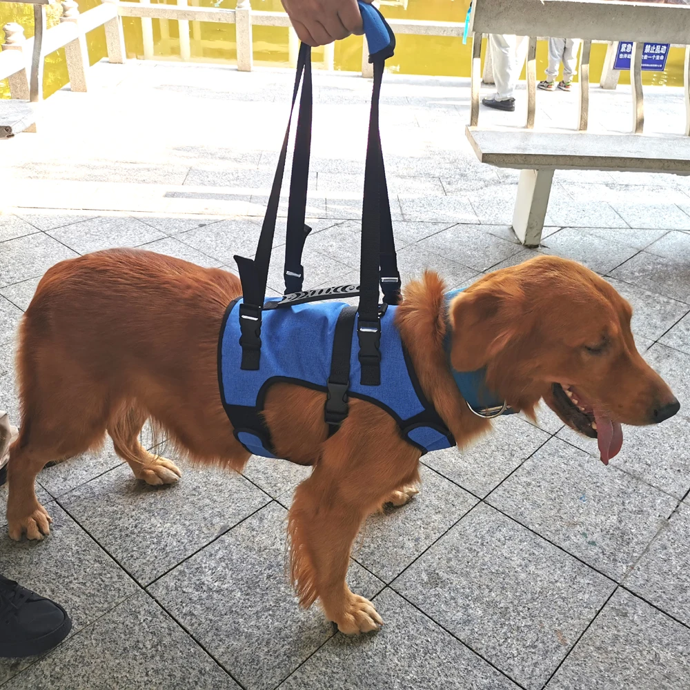 Breathable Straps Support Pet Rehabilitation Vest Dog Lift Harness Walking Recovery Sling  Soft Adjustable for Old Injured Puppy