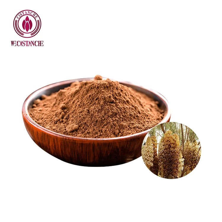 EU Standard 40:1 Cistanche Tubulosa Extract Nature Supplement 20% Glycoside 8% Echinacoside Cistanche For Body Building