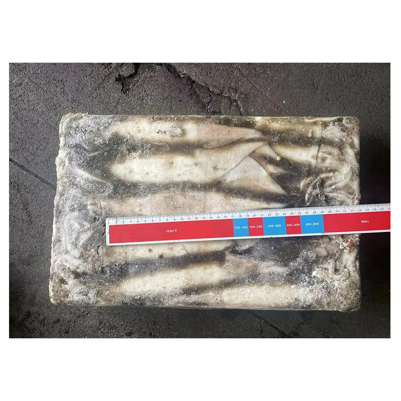 New Arrival Sea Frozen Whole Squid 400-600g Frozen Illex Argentina Squid