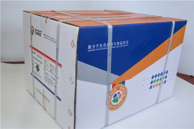 
Animals probiotics powder feed additives can Toxin enzymolysis effectively absorb and degrade mycotoxins in feed 