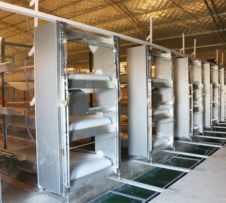Automatic system broiler chicken cage broiler poultry farming equipment automatic layer cages