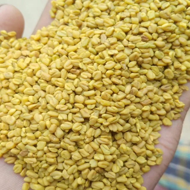 Methi Seeds ( Fenugreek ) 99.99 % Purity
