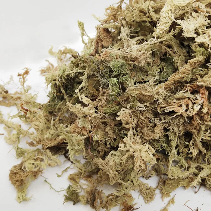 Заводская поставка сушеный сфагненовый мох высшего класса торфяной для рептилий ковриков домашних животных и средней посадки без земли