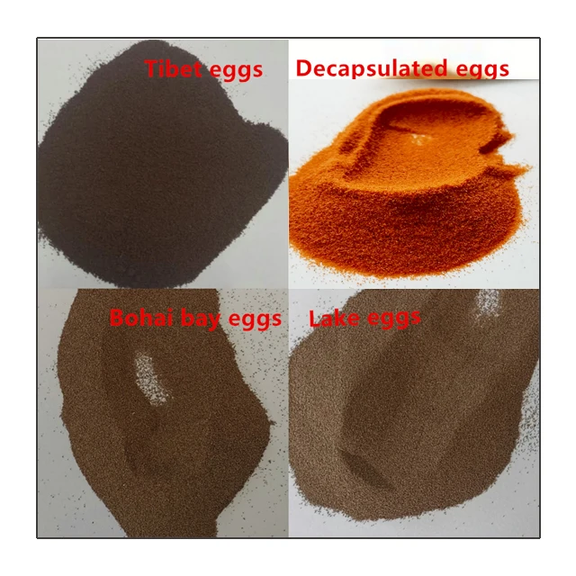 Fish Feed decapsulated brine shrimp eggs shell free artemia cysts