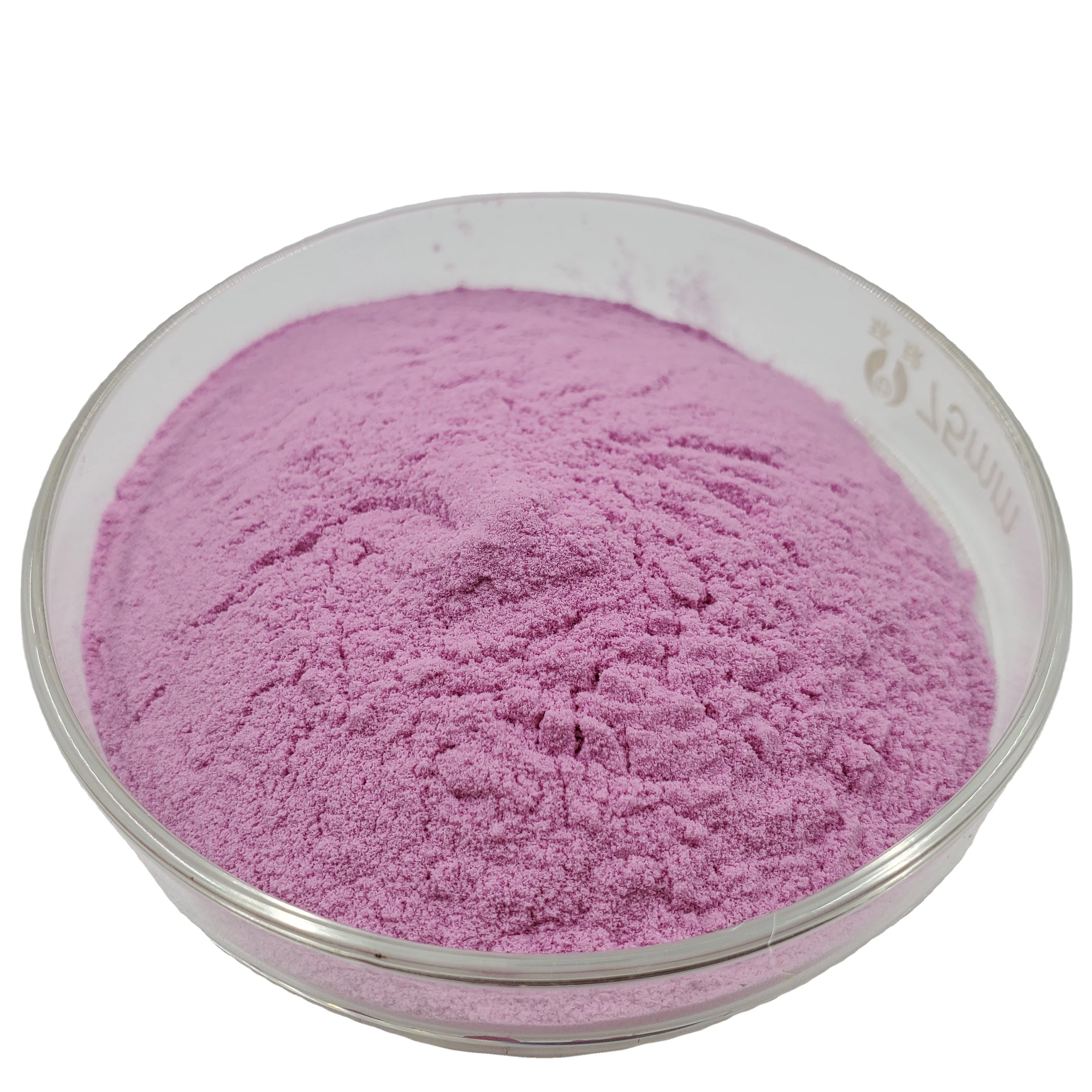 food additives dried dragon fruit powder red dragon fruit powder