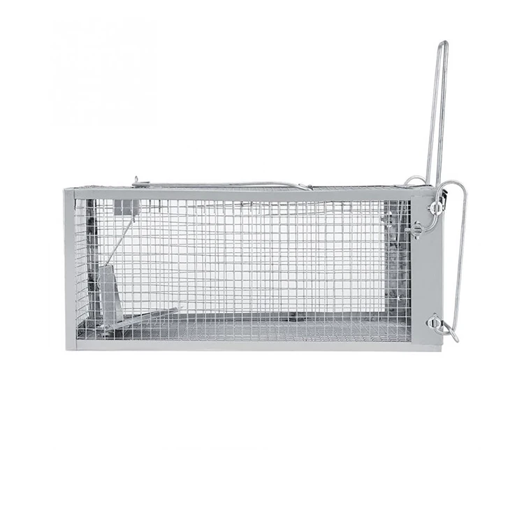 Humane No Kill Rat Traps Silver Galvanized Wire Mesh Mouse Trap Cage