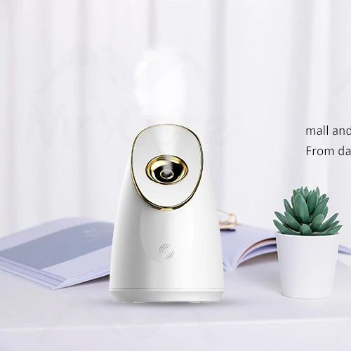 Best selling design private label facial steamer beauty care nano spray machine mini facial device portable with mirror