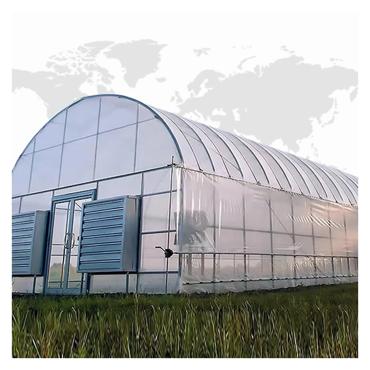 small green house greenhouse garden chicken coop polycarbonate sunrooms greenhouses for agricultureagricultural equipment