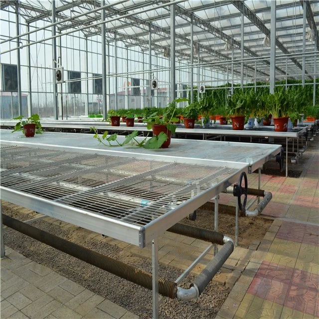 Greenhouse planting flood nursery bed