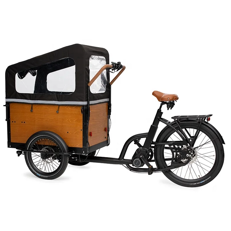 lastenfahrrad dutch Lithium battery fast electric bicycle cargo bike