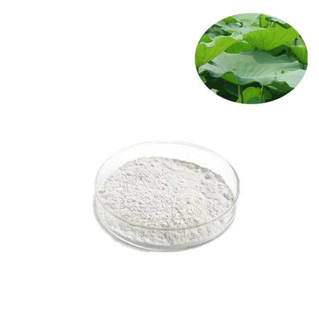 Manufactory price Raw material Lotus Leaf Extract Nuciferine Powder