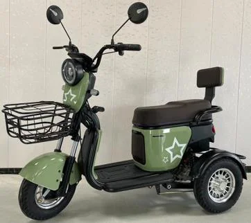 Powerful 600W Differential Motor New Fashionable Electric Passenger Tricycle with 48v Voltage Three Wheels for Adults