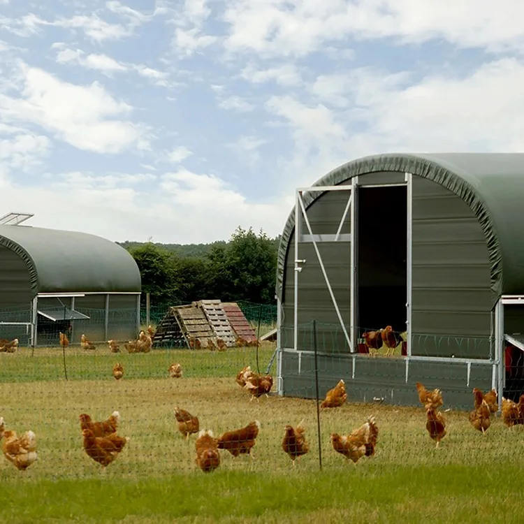 China custom OEM mini poultry farm metal building steel structure broiler chicken house price
